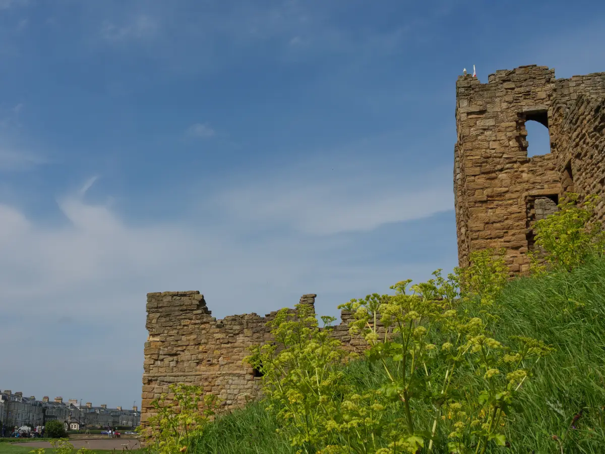 Things to do in Scarborough